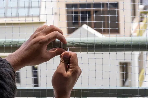 Hussain Bird Netting Service Installation